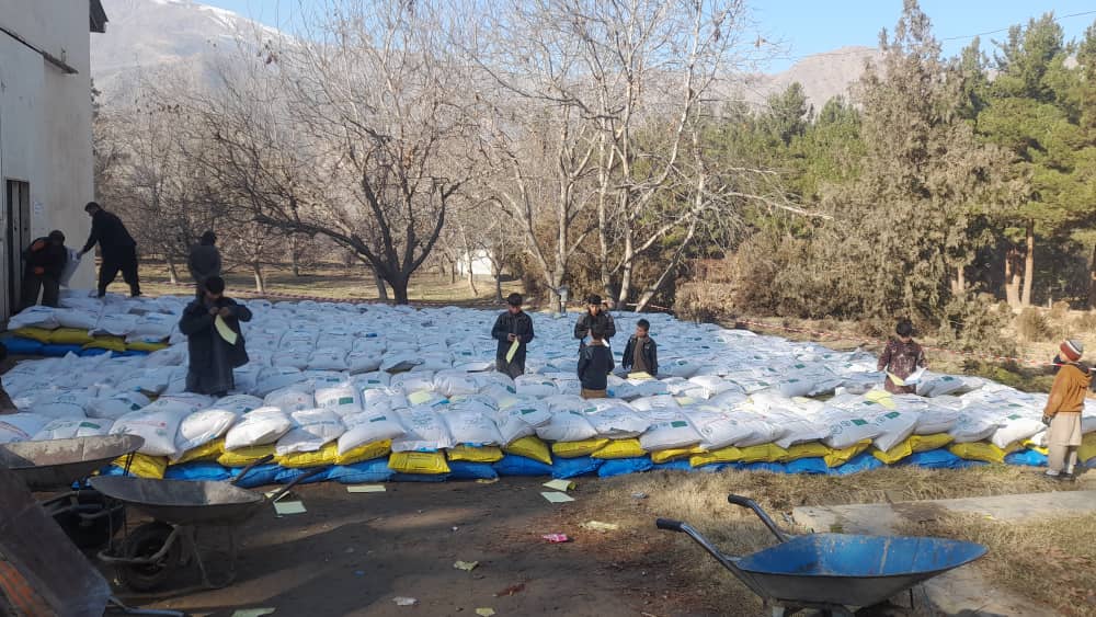 آغاز برنامه توزیع تخم بذری اصلاح‌شده برای دهاقین مستحق در ولسوالی فرخار