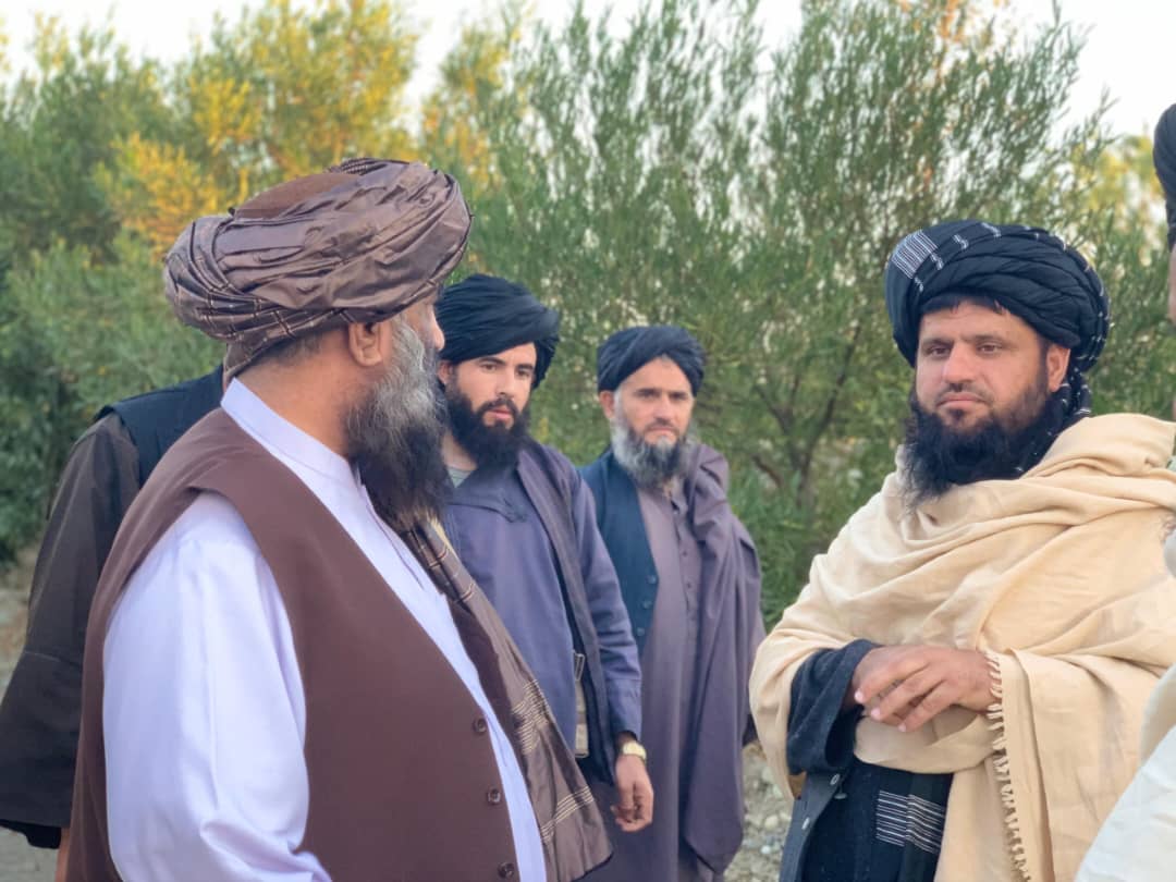 دکرنې مرستیال وزیر مولوی باز محمد فیضان: د ځنګلونو د ساتنې او د شاتو مچیو روزنې د پیاوړتیا لپاره به د بېرو ځنګلونو ته پراختیا ورکړل شي