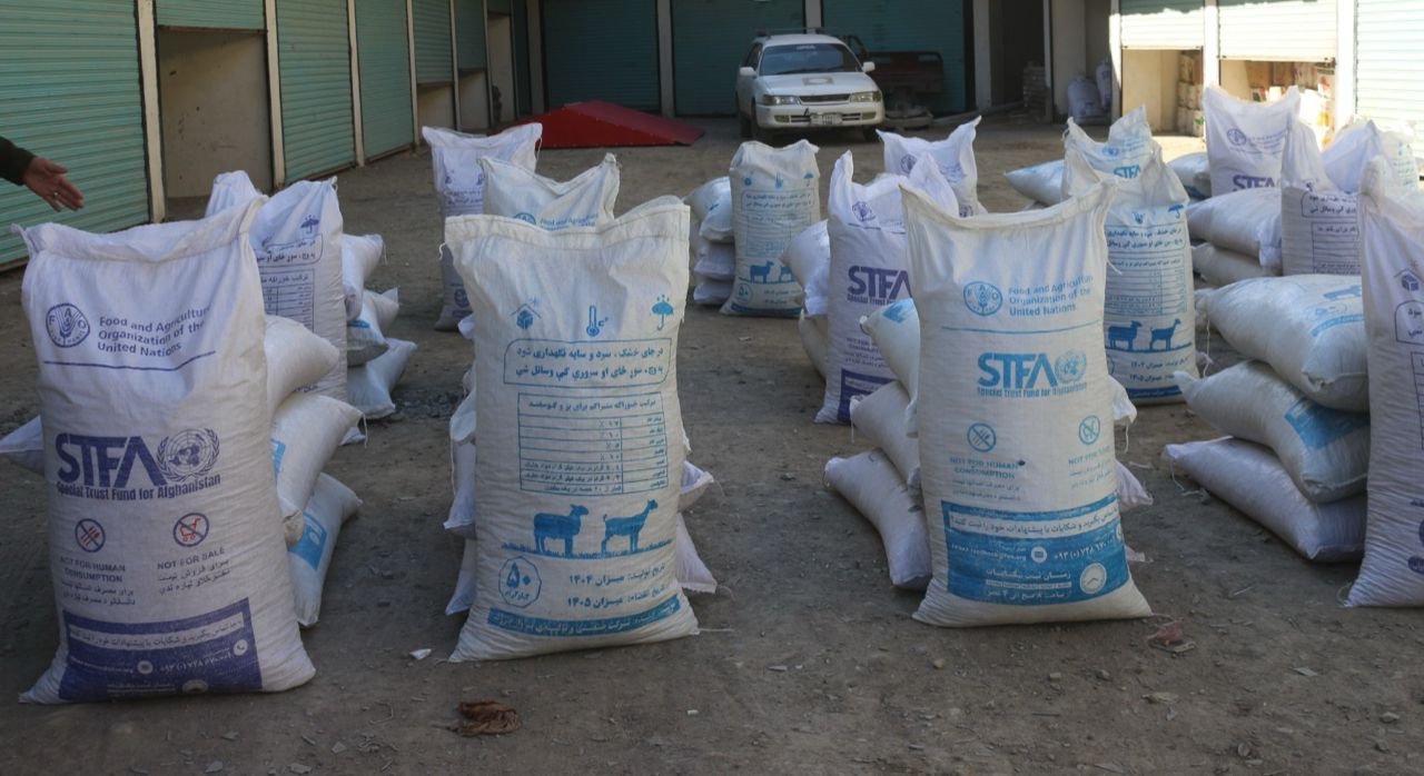 پکتیا: پر سلګونو مالدارانو د څارویو خوراکې توکي ووېشل شول