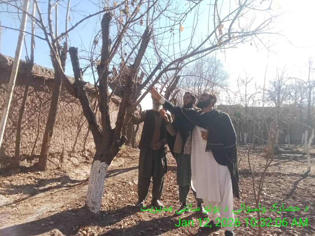 ننګرهار کې بزګرانو ته د ناروغیو مخنیوي اوبڼونو ښه مدیریت په موخه روزنه ورکړل شوه