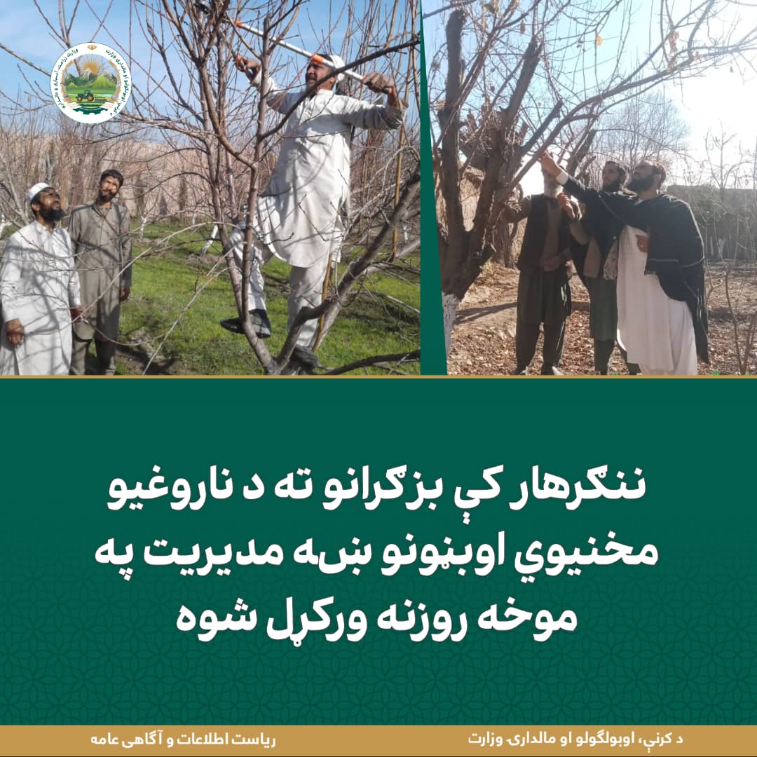 د ورځ مهمی خبری