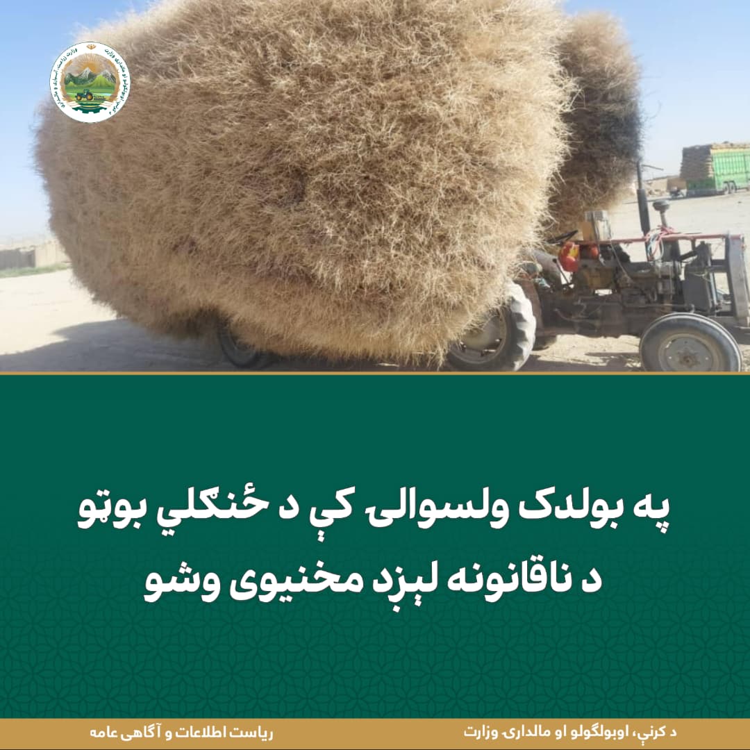 د ورځ مهمی خبری