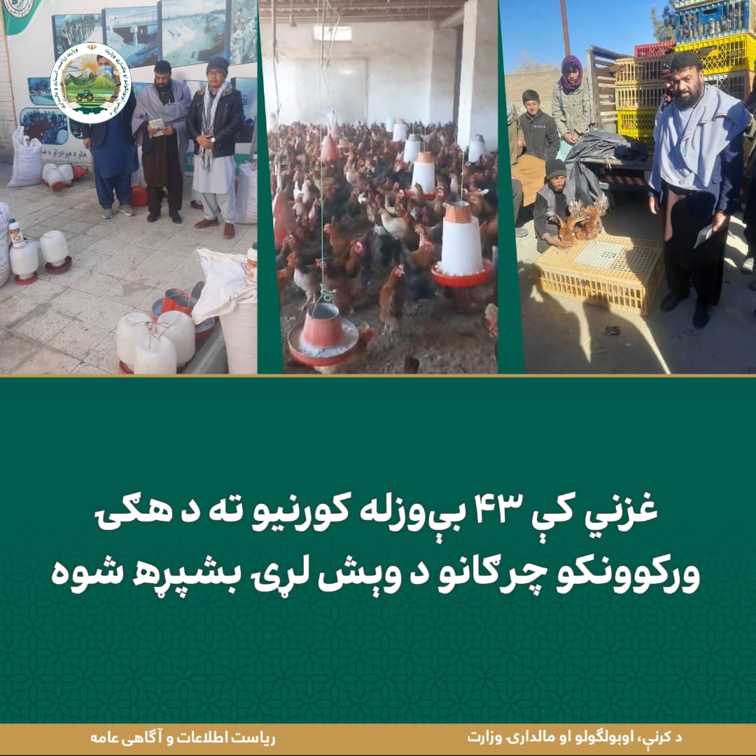 د ورځ مهمی خبری