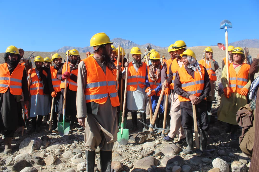 لغمان کې د نږدې  ۱۱ میلیونو افغانیو په ارزښت په ۱۸ هکټاره ځمکې کې د بیرې ځنګل دجوړولو چارې پیل شوې