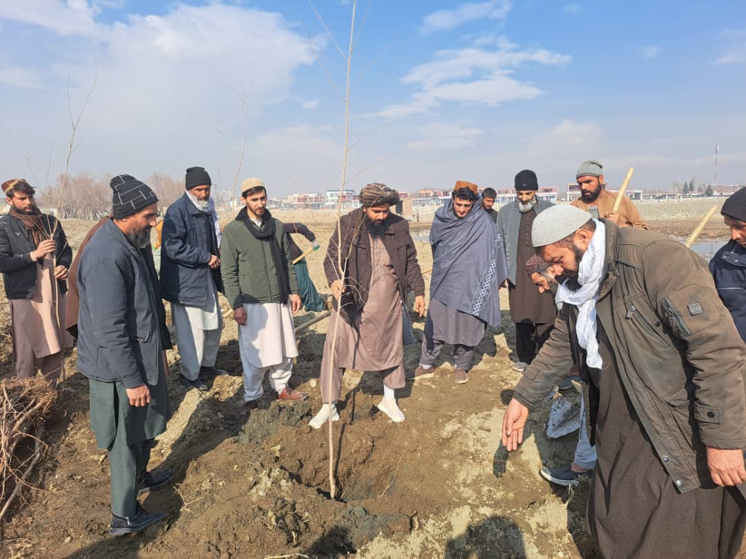 آغاز نهال‌شانی و سروی باغچه‌های کوچک در ولسوالی بگرام ولایت پروان