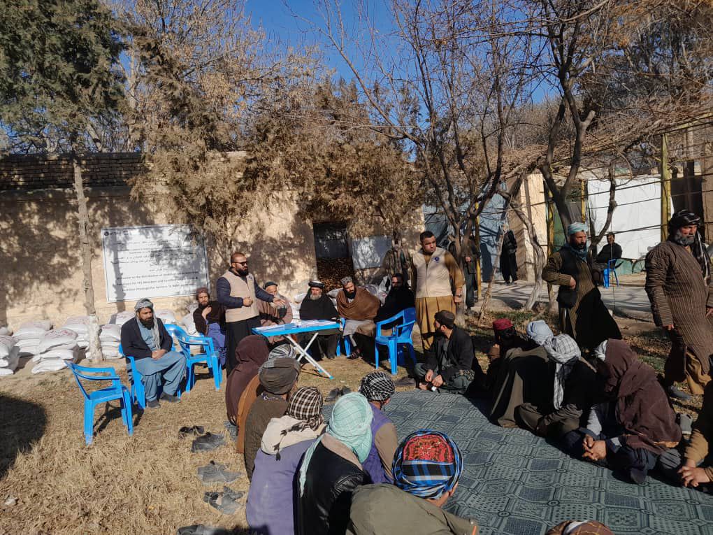 توزیع کنجاره متراکم ترکیبی برای مالداران مستحق در ولسوالی بلخ