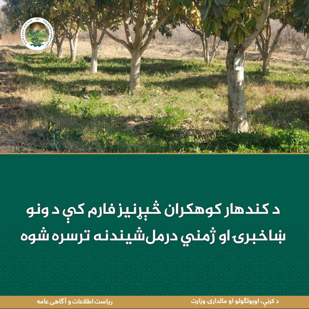 د ورځ مهمی خبری