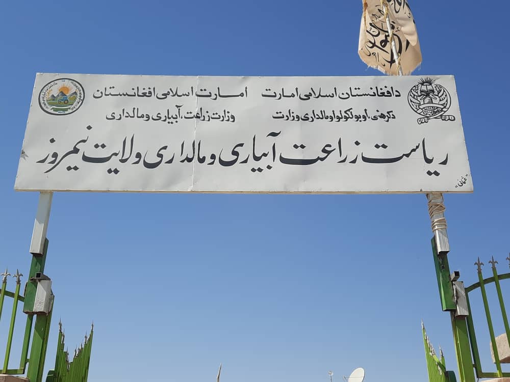 تلاش‌های ریاست زراعت نیمروز  برای جلوگیری از قطع غیرقانونی جنگلات