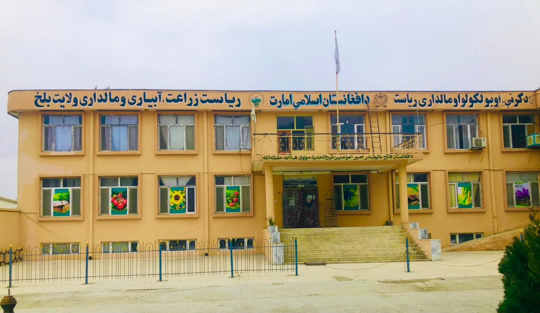 بلخ کې د قدرتي ځنګلونو د بیا رغونې پروژه ګټې اخیستنې ته وسپارل شوه