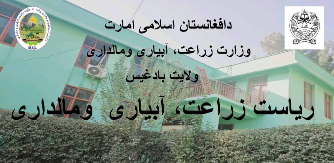 برگزاری جلسه هماهنگی با مؤسسات همکار سکتور زراعت در بادغیس