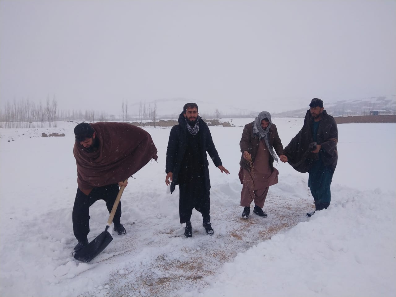 د میدان وردګو دکرنې ریاست: واورین موسم کې وږو مارغانو ته د دانې شیندلو لړۍ پیل شو