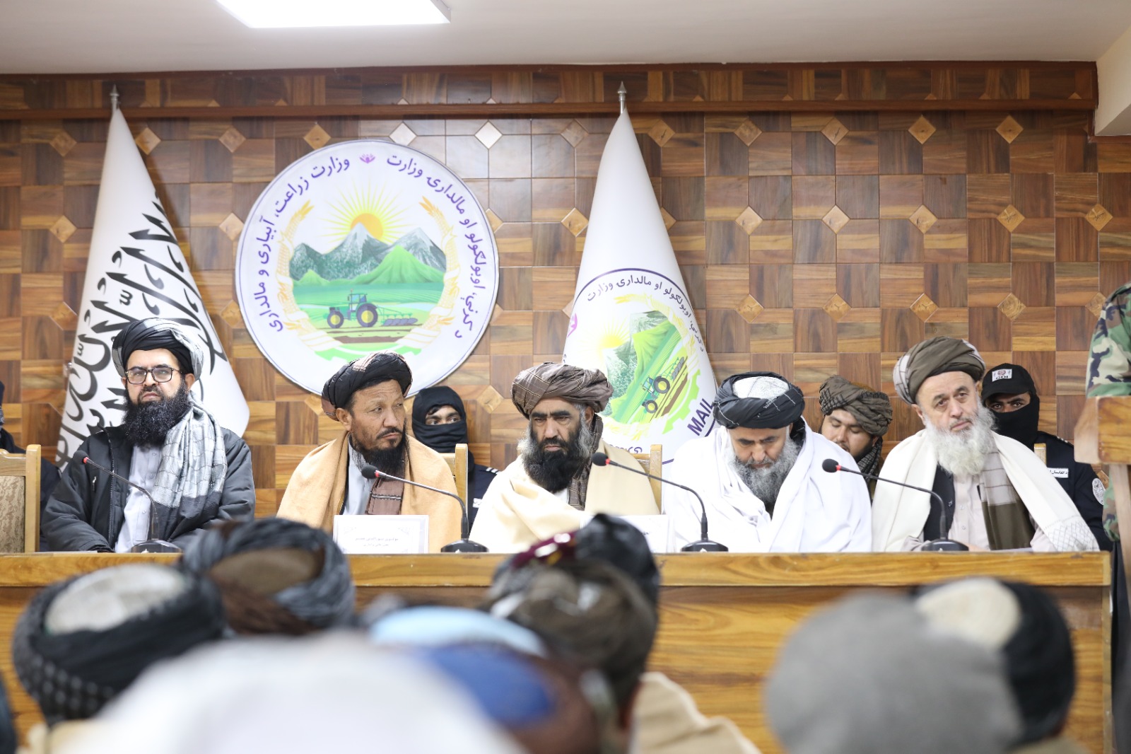 د کرنې، اوبو لګولو او مالدارۍ وزارت نوی مالي او اداري مرستیال معرفي شو