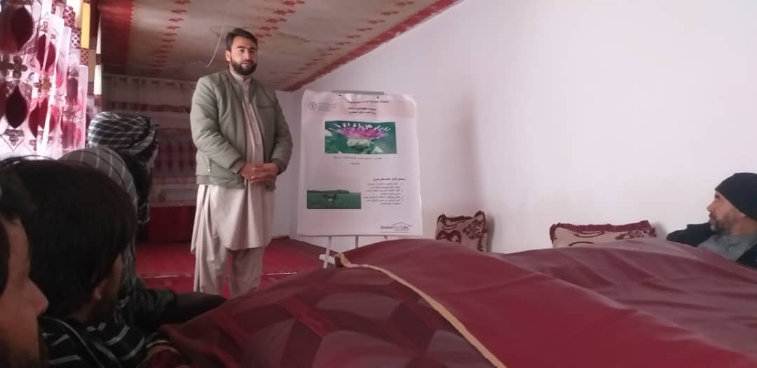 برگزاری برنامه آموزشی گندم در مرکز ولایت پروان