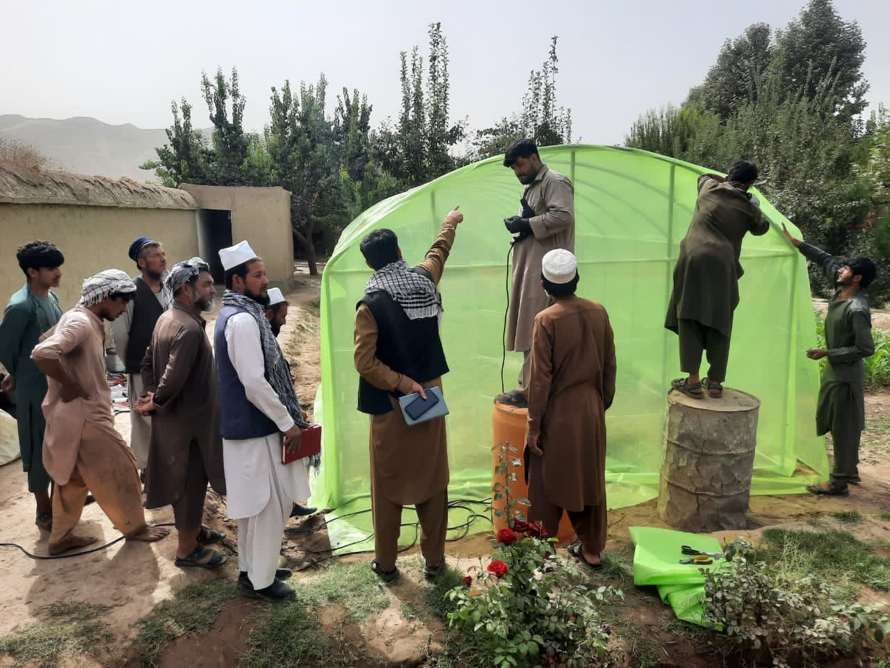 احداث ۵۵ باب گلخانه در ولایت تخار به منظور تقویت زراعت و امنیت غذایی
