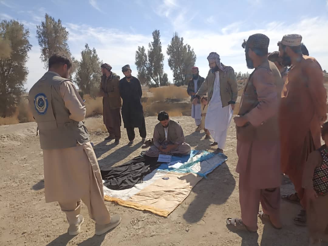 آغاز سروی باغچه‌های خانگی در شهر زرنج