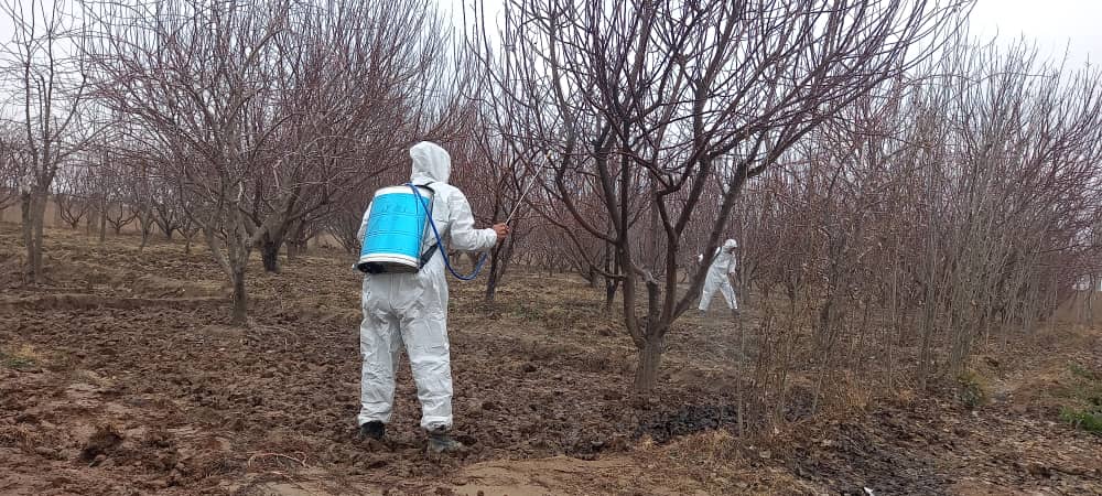 آغاز برنامه روغن زمستانی در سه ولسوالی تخار