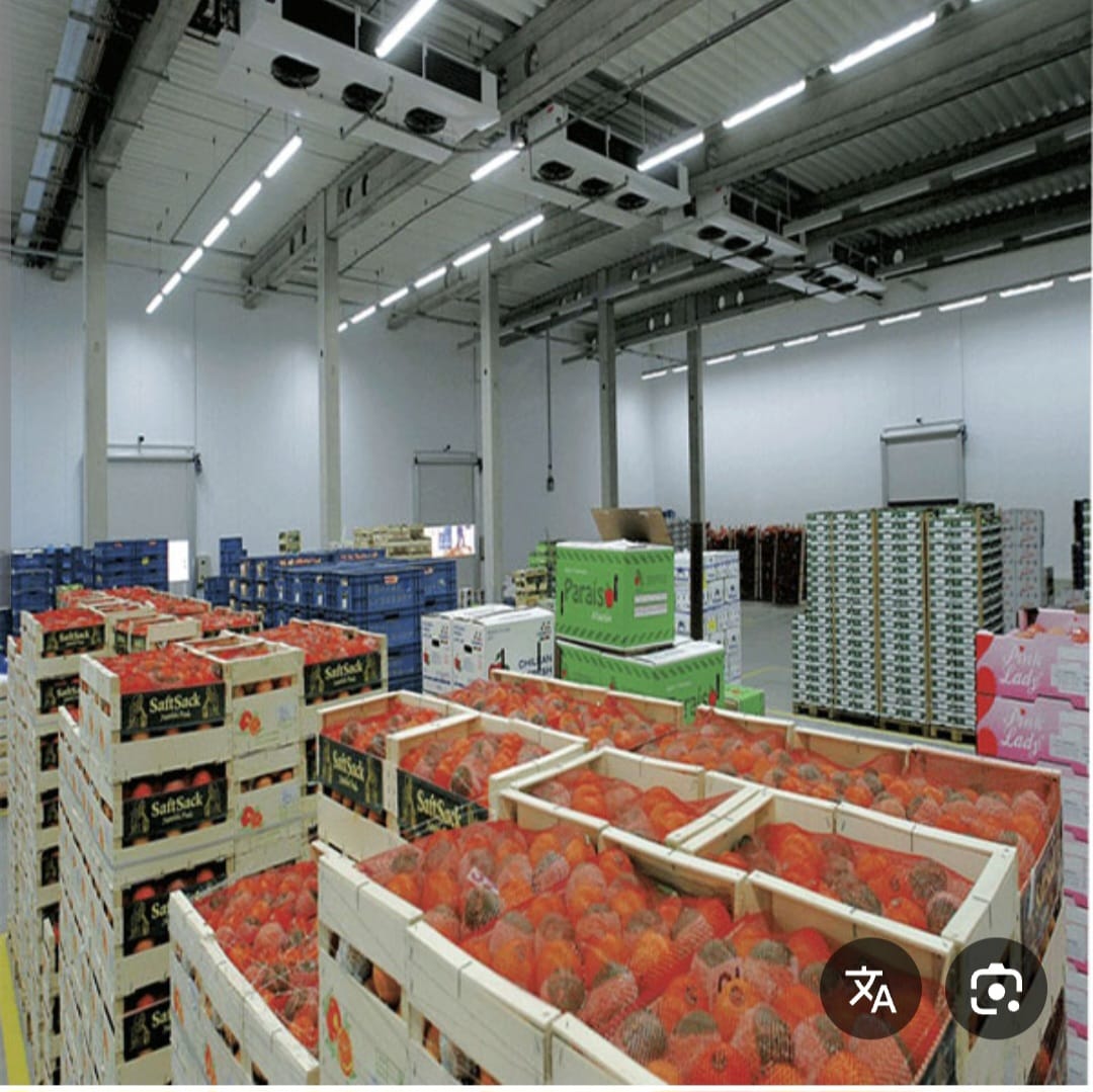 آغاز برنامه ساخت سردخانه‌های معیاری و تثبیت یک‌هزار جریب زمین برای حمایت از باغداران بدخشان