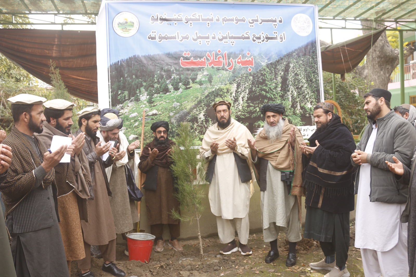 کمپاین ملی بهاری نهال‌شانی در کنر آغاز شد