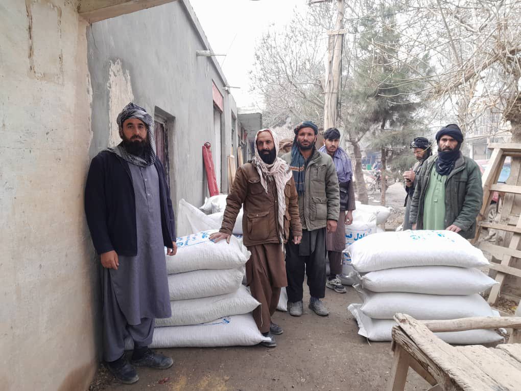 بلخ ولسوالی کې اړمنو مالدارانو ته د کنجاړې مرستې ووېشل شوې