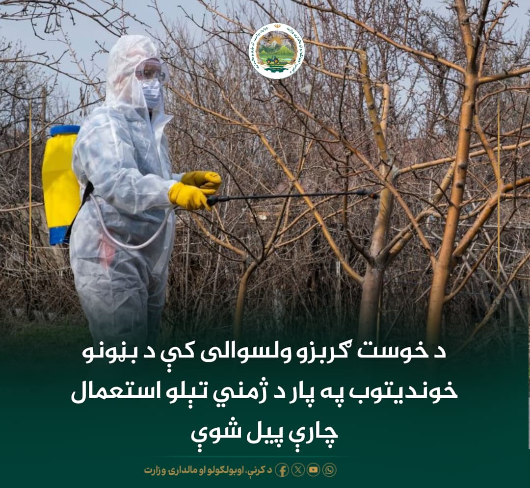 د ورځ مهمی خبری