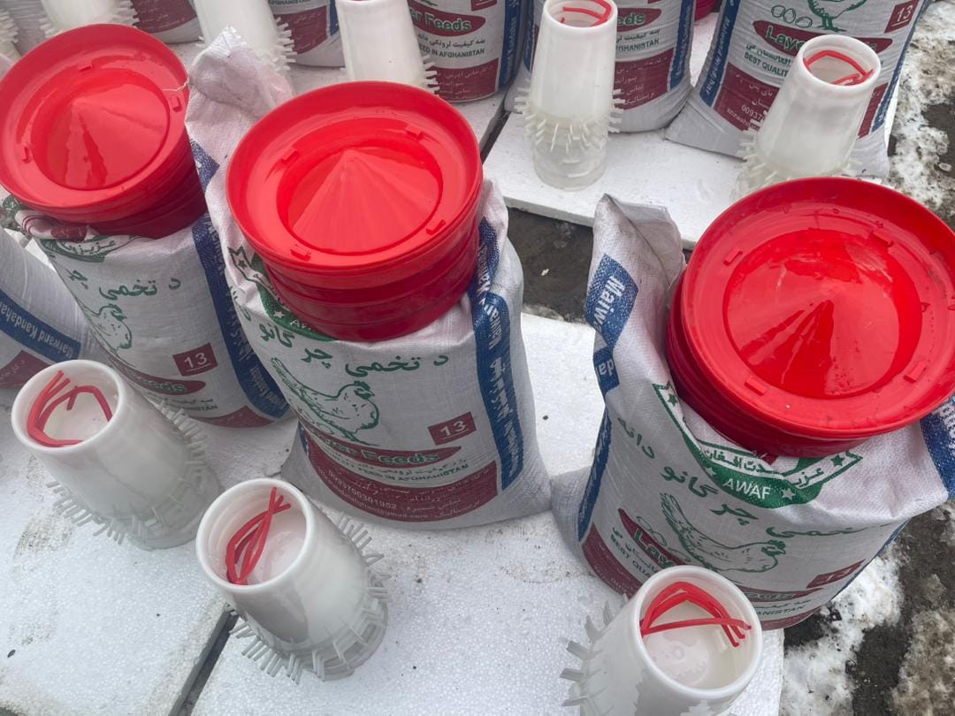 د خوست موسی‌خیلو ولسوالی کې پر مستحقو کورنیو د فیل‌مارغه وېش لړۍ ترسره شوه