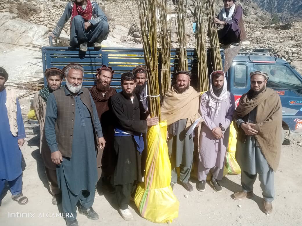 لغمان کې د ۱۵ هکټاره چهارمغزو مصنوعي ځنګل د جوړېدو پروژه پیل شوه