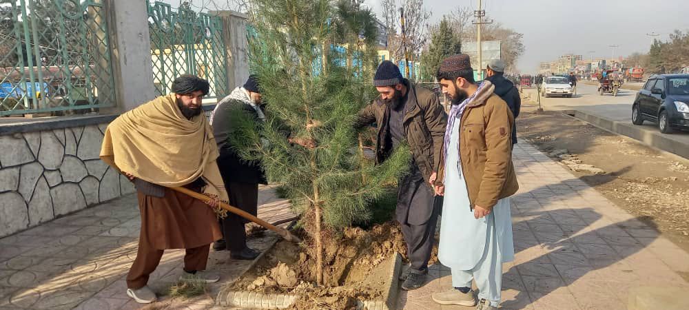 آغاز کمپاین ملی نهال‌شانی و نظارت از پروژه جنگلات پسته در بلخ
