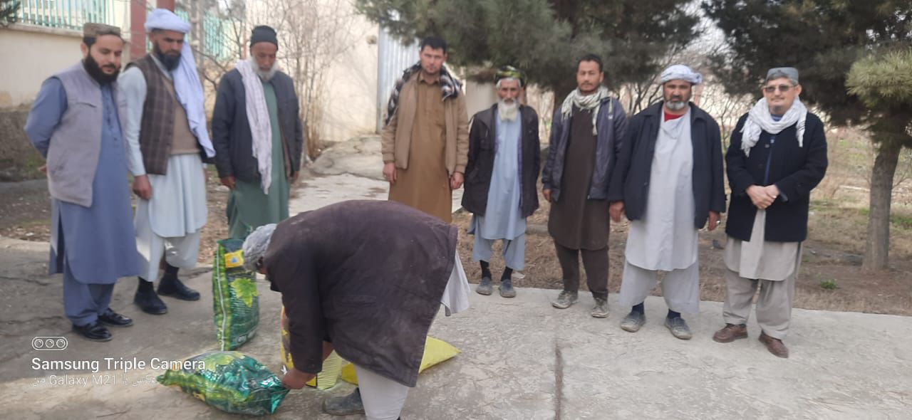 توزیع پودر سلفر و چونه آب و آموزش تهیه لایم‌سلفر برای باغداران نهرشاهی بلخ