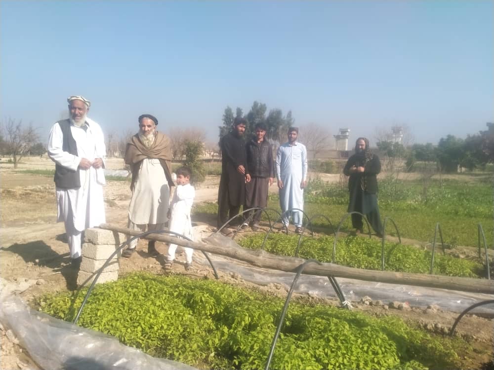 ننګرهار کې بزګرانو ته د ناروغیو مخنیوي اوبڼونو ښه مدیریت په موخه روزنه ورکړل شوه