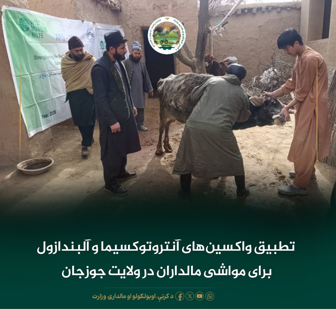 خبرهای مهم روز