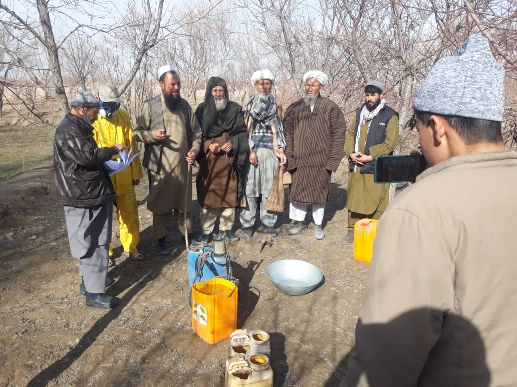 پروگرام آموزشی تطبیق روغن زمستانی در جوزجان آغاز شد