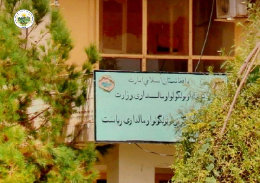 د کندهار ژړۍ کې ۱۰ زره جریبه ځمکه د صنعت او سوداګرۍ ریاست ته ولېږدول شوه