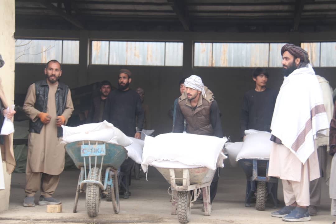 جریان توزیع گندم و پول نقد برای مهاجرین عودت‌کننده در ولایت‌های شمال کشور