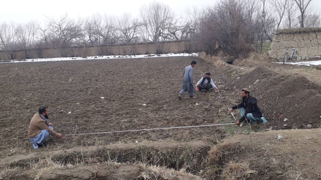 آغاز تطبیق نقشه دیزاین ۲۸ جریب باغات تجارتی املوک در ولایت پروان