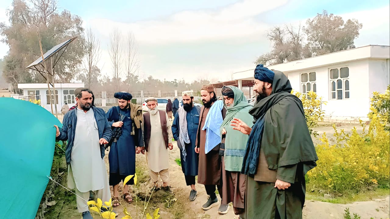 د ننګرهار والي فارم جدید نیالګیو روزنځاي څخه لیدنه وکړه