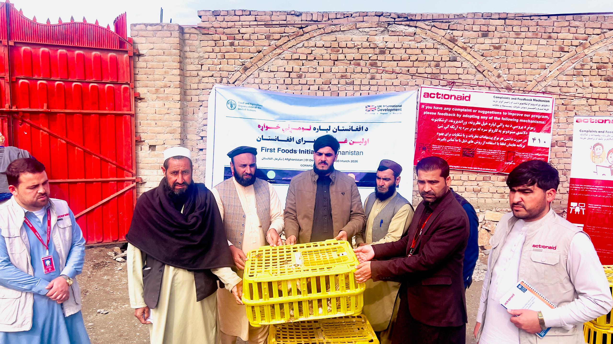 د ننګرهار لعلپورې ولسوالی کې ٣٠٠ کورنیو سره د هګیو چرګانو مرسته وشوه