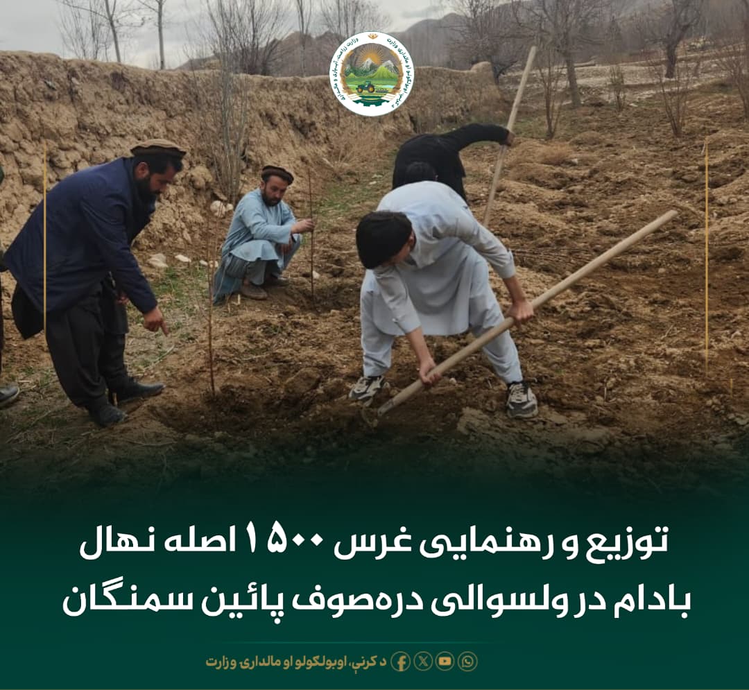 خبرهای مهم روز