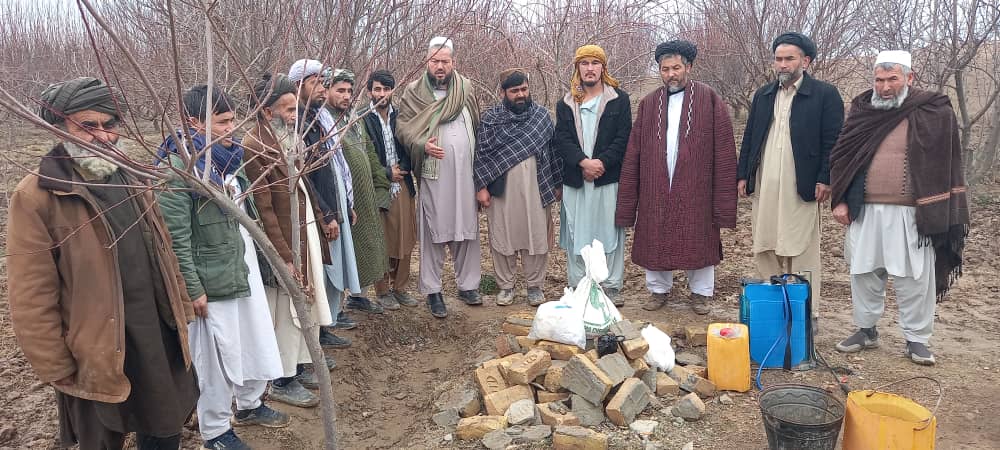 ختم موفقانه برنامه روغن زمستانی درختان میوه در ولایت تخار