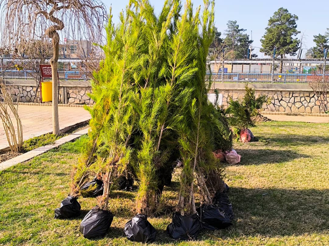 آغاز رسمی کمپاین ملی نهال‌ شانی در ولایت فاریاب