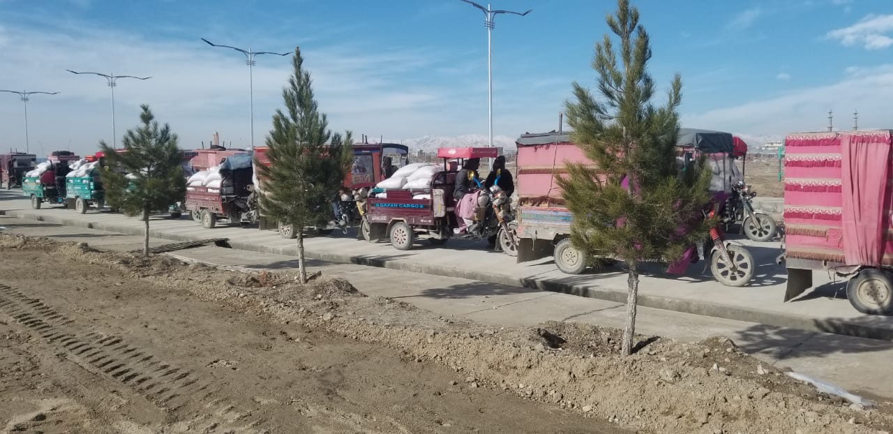 غزني کې له کډوالۍ راستنوشویو کورنیو ته د غنمو او نغدي مرستو د وېش بهیر پای ته ورسېد