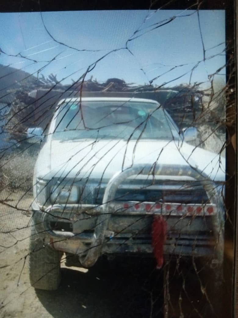 د کندهار بولدک کې د ځنګلي بوټو ناقانونه لېږد په پار څارنه وشوه