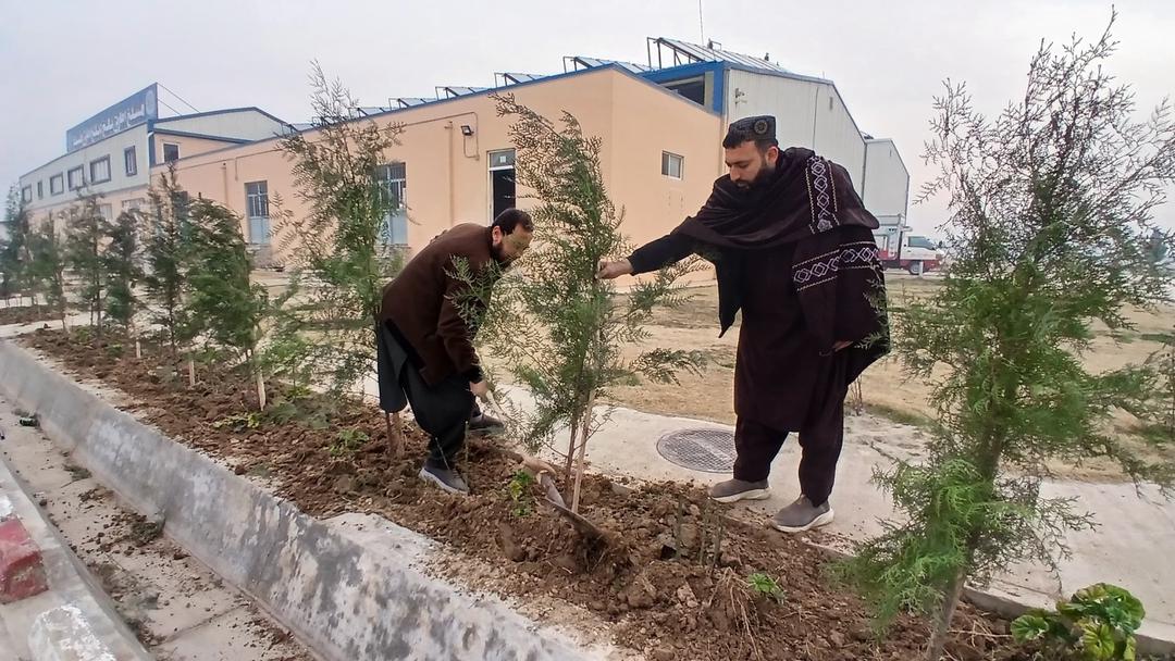 اجرای برنامه نهال‌شانی در مسلخ دولتی ولایت بلخ