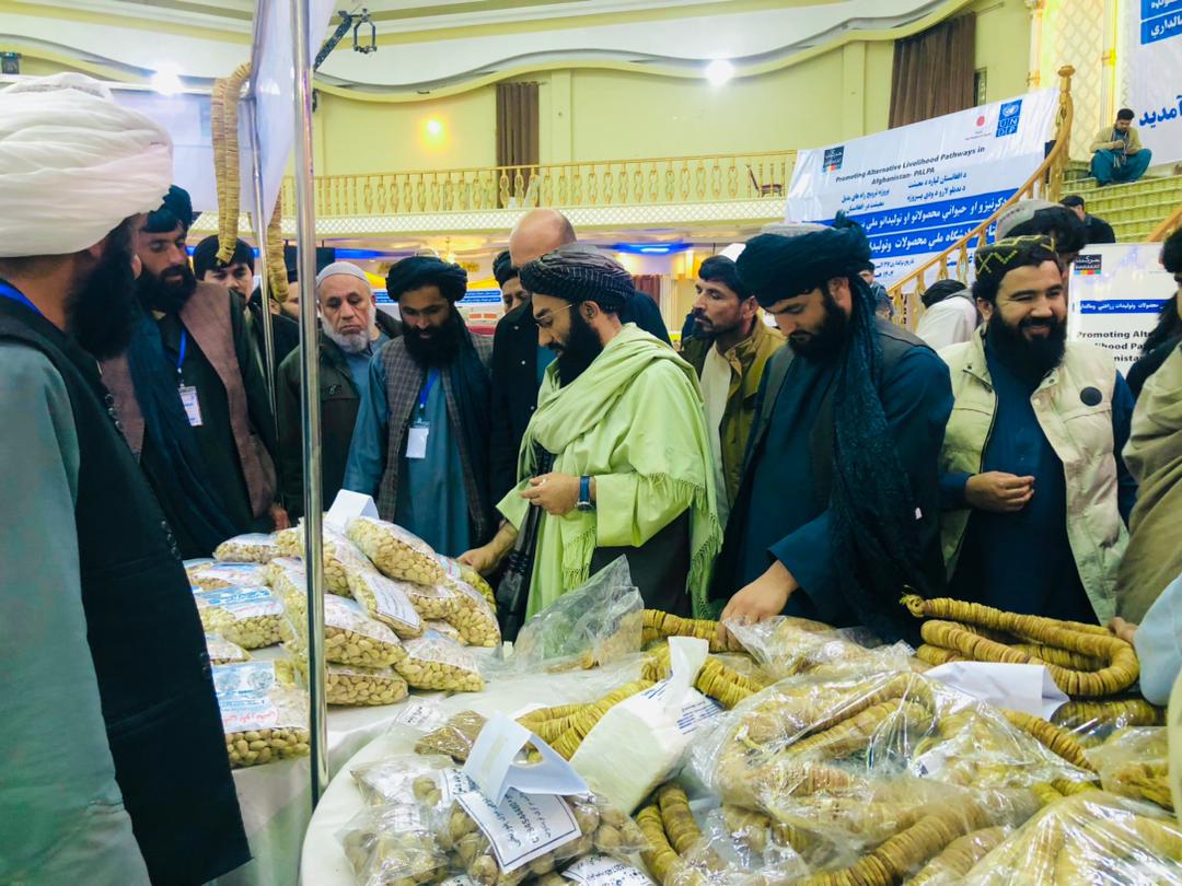 افتتاح نمایشگاه ملی سه‌روزه محصولات زراعتی و مالداری در ولایت بلخ