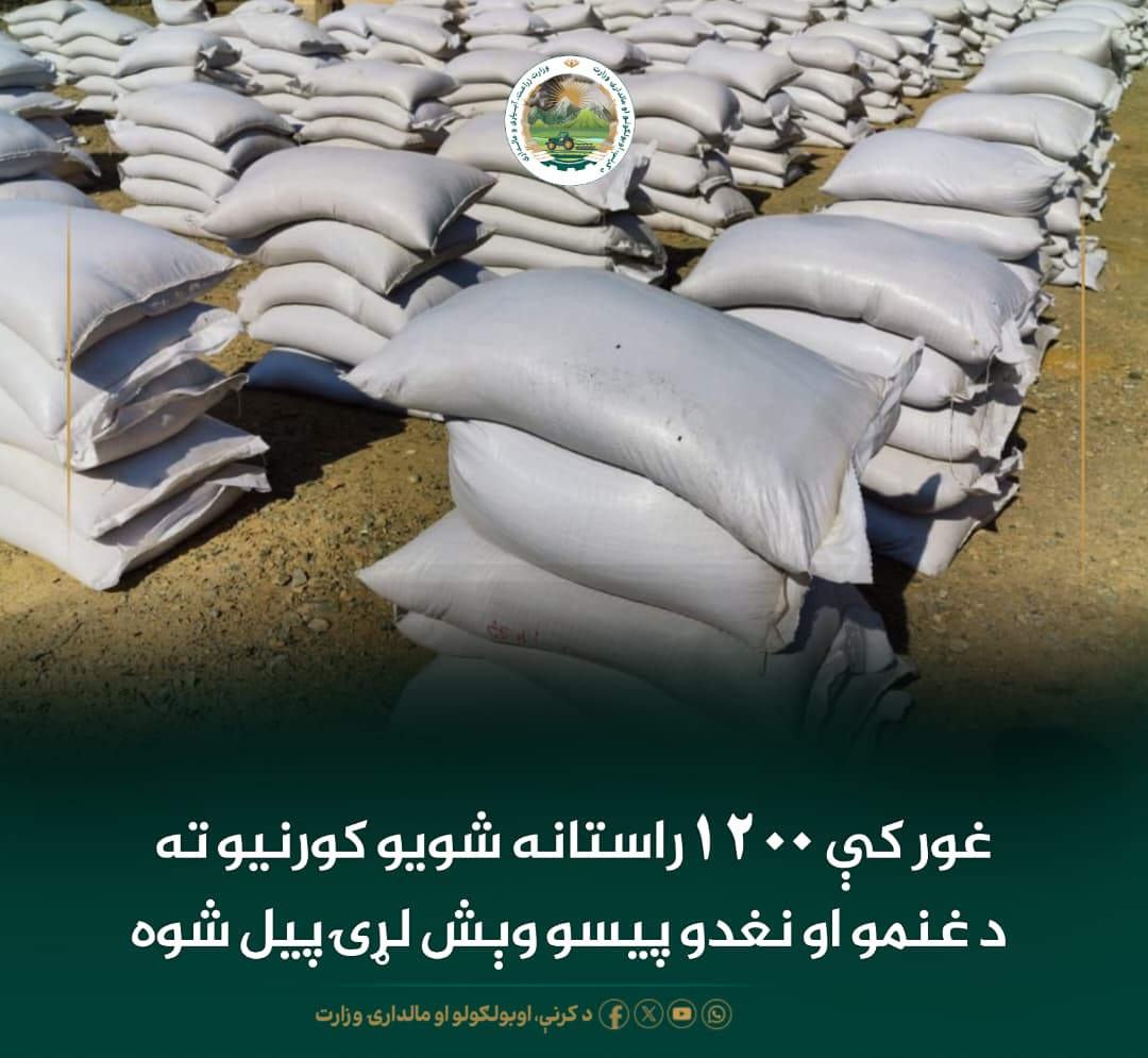 د ورځ مهمی خبری