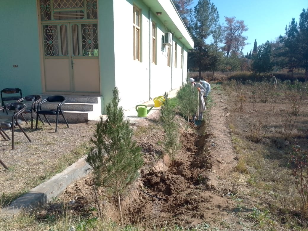 آغاز کمپاین ملی نهال‌شانی در ولایت فراه