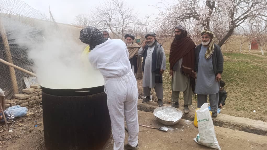 برگزاری برنامه آموزش ساخت لایم سلفر در باغ‌های مرکز ایبک