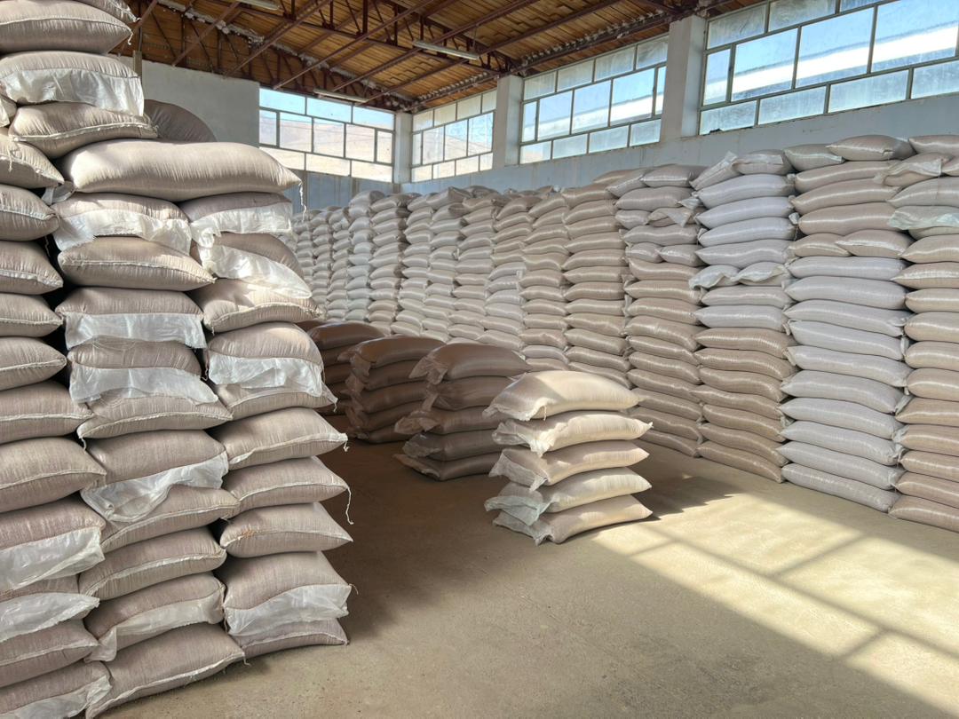 لوګر کې له کډوالۍ راستنوشویو ۱۲۰۰ کورنیو ته د غنمو او نغدو مرستو وېش لړۍ پيل شو