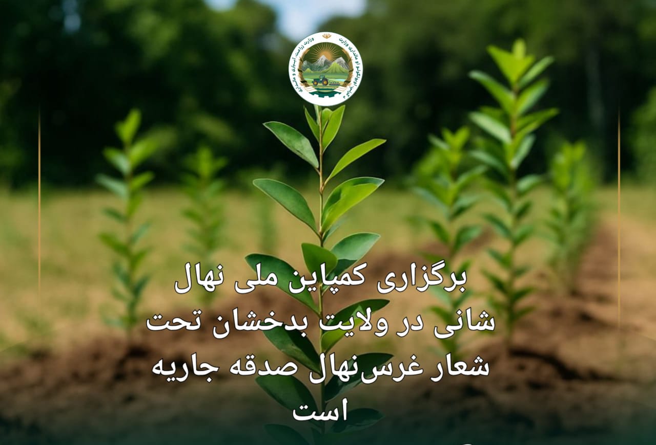 نشست هماهنگی کمپاین ملی نهال‌شانی در بدخشان برگزار شد