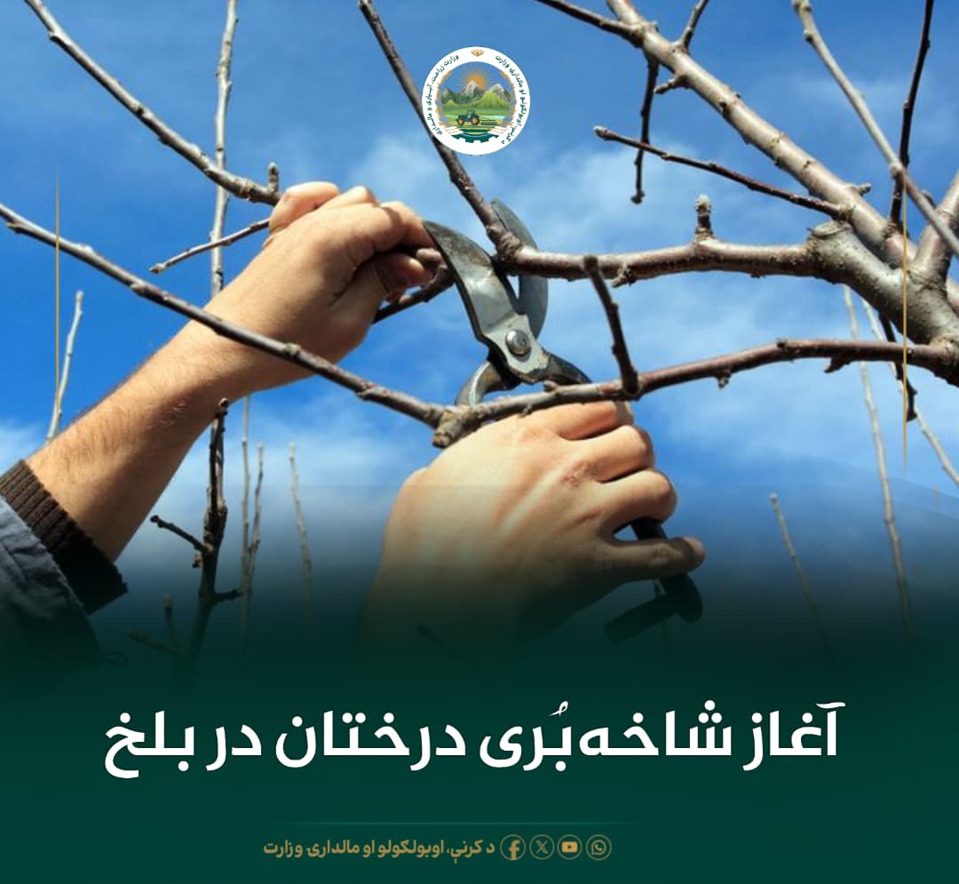 خبرهای مهم روز