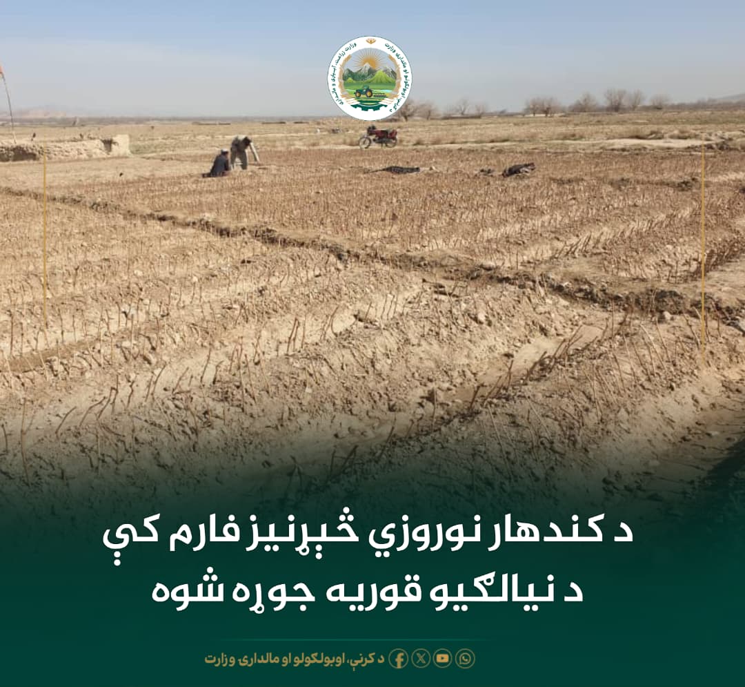 د ورځ مهمی خبری